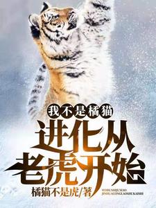 我不是橘猫！进化从老虎开始王寅最新全本小说_我不是橘猫！进化从老虎开始全文阅读