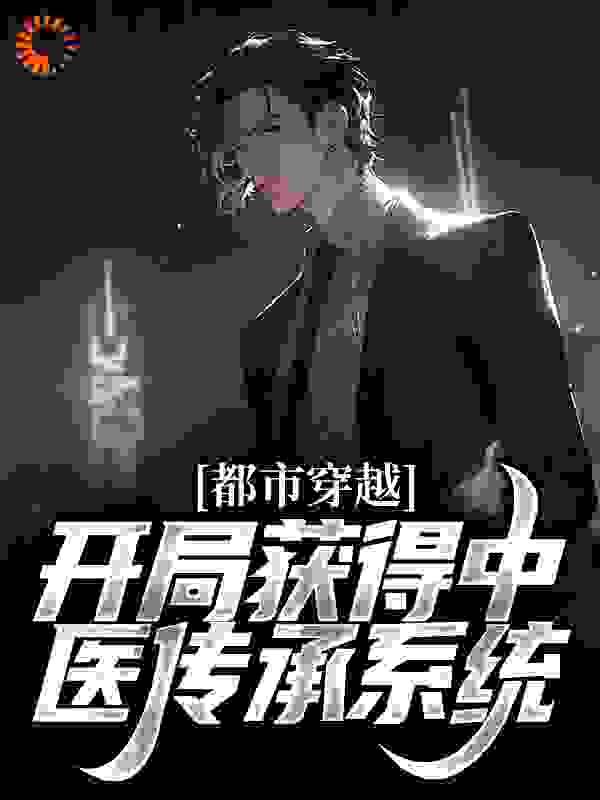 精选小说《都市穿越：开局获得中医传承系统》小说_(主角是苏承壶苏安和沈毅撒正平)都市穿越：开局获得中医传承系统最新免费