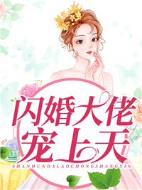 全本小说《闪婚大佬宠上天》小说_(主角是慕晴江先生夜君博慕致远)闪婚大佬宠上天全本小说